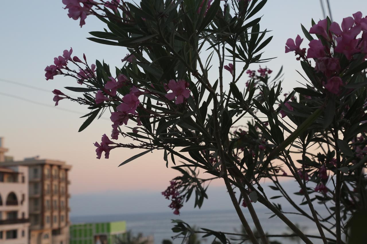 Ayvaryara Kasgar Court Hotel מראה חיצוני תמונה